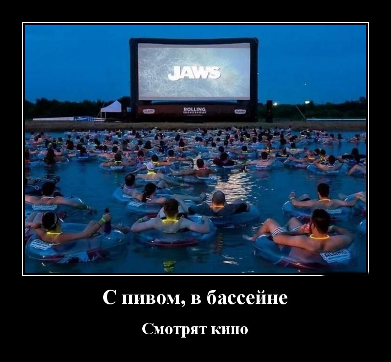 Podborka luchshikh demotivatorov 520 049